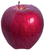pomme 25 liste